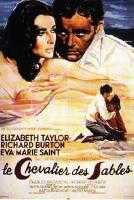 'The Sand piper' ('Le Chevalier des sables') + notes sur 'The V.I.P.'s' : une mégère apprivoisée... -- 28/07/07 'The Sand piper' ('Le Chevalier des sables') + notes sur 'The V.I.P.'s' : une mégère apprivoisée... -- 28/07/07