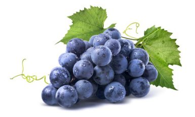 Blue wet Isabella grapes bunch isolated on white background as package design element